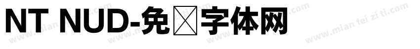 NT NUD字体转换